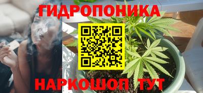 прущие грибы Владикавказ