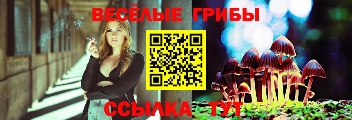 Галлюциногенные грибы Magic Shrooms  Галлюциногенные грибы мицелий  Вход с VPN  Санкт-Петербург 